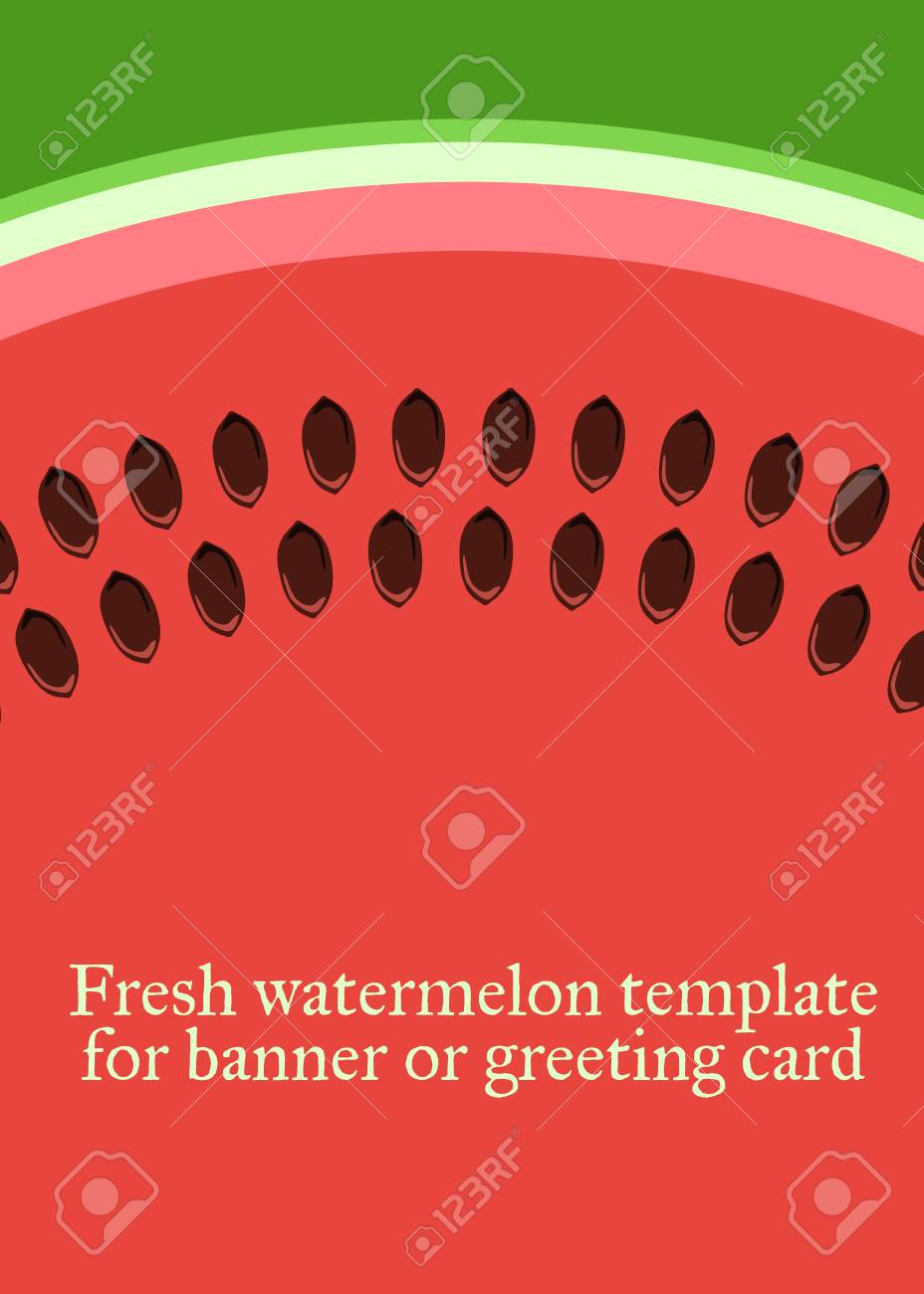 watermelon vector template for greeting card or banner royalty free