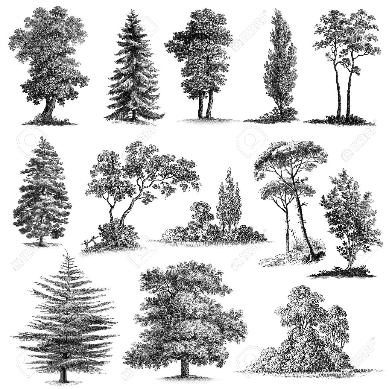 Big set of 13 Vintage engravings reproduced in high quality hand..