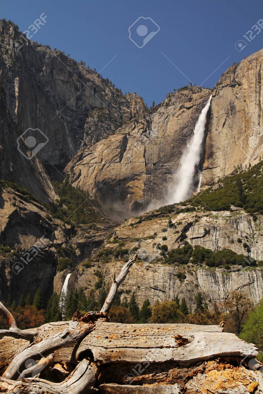 ヨセミテ滝手前の木とカリフォルニア州のヨセミテ国立公園でのビュー の写真素材 画像素材 Image