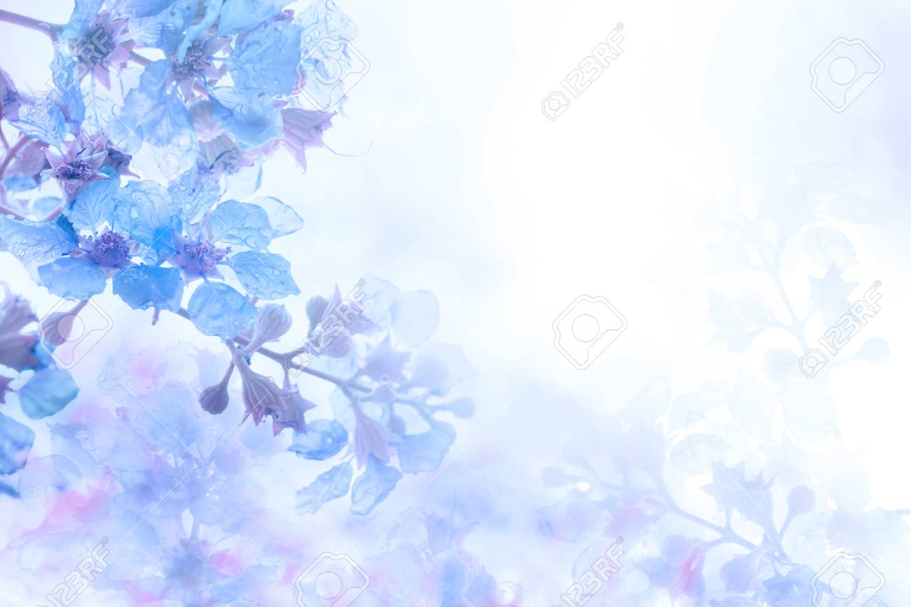 blue flower background