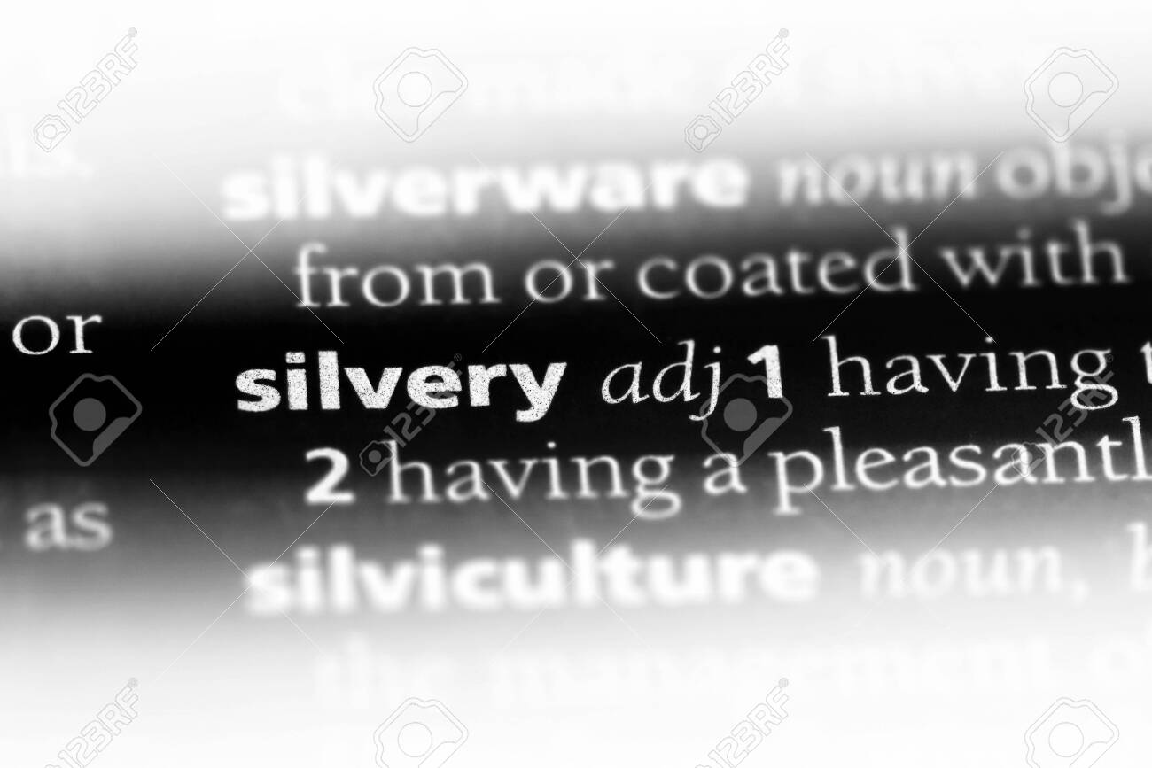 사전 은빛 개념의 은빛 단어 로열티 무료 사진, 그림, 이미지 그리고 스톡포토그래피. Image 107385278