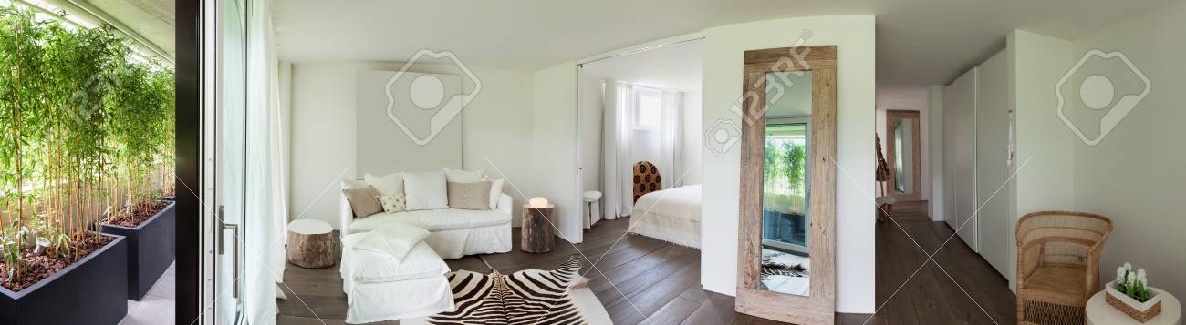 Wohn- Und Schlafzimmer, Leder Zebra Auf Dem Boden, Weiße Wände ... Wohn- Und Schlafzimmer, Leder Zebra Auf Dem Boden, Weiße Wände ...