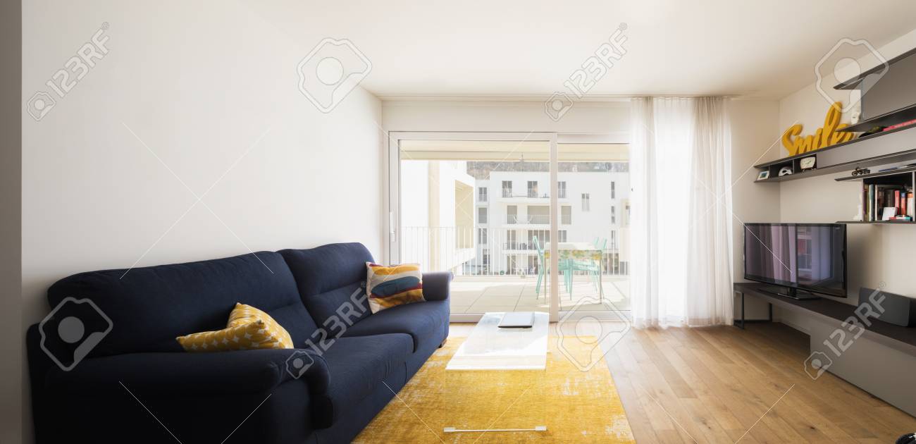Living Room With Blue Sofa Yellow Carpet And Bright Window Stock Photo Picture And Royalty Free Image Image 97687546