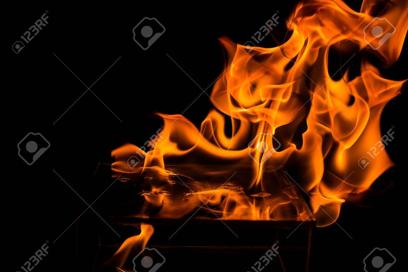 etiam-dictum-ipsum-a-felis