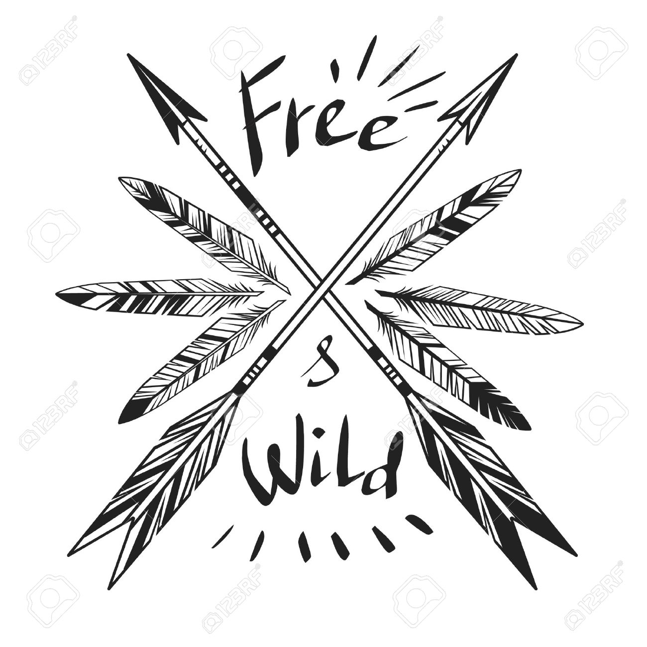 arrows and feathers on white background royalty free cliparts