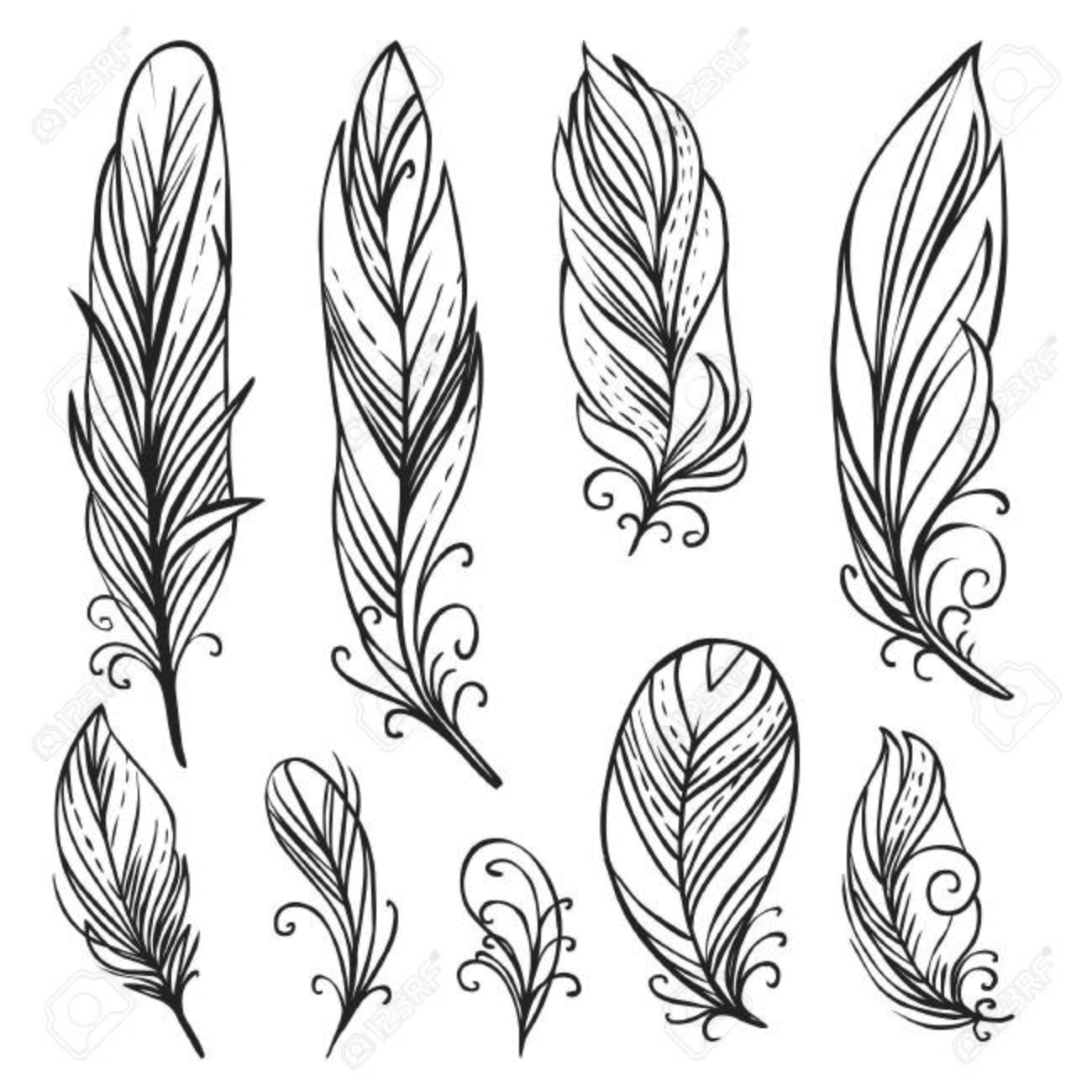 Hand Drawn Bird Feathers Royalty Free Svg Cliparts Vectors And Stock Illustration Image Hand Drawn Bird Feathers Royalty Free Svg Cliparts Vectors And Stock Illustration Image