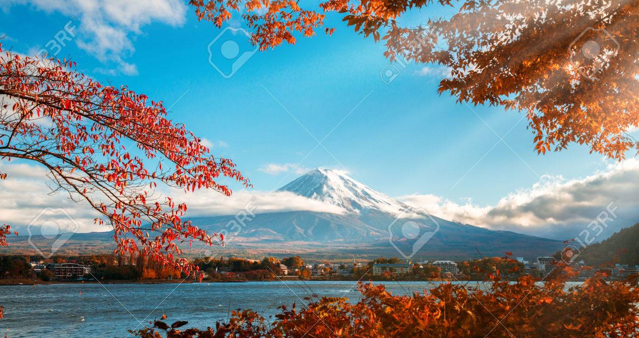 Colorful Autumn in Mount Fuji, Japan - Lake Kawaguchiko is one of the best places in Japan to enjoy Mount Fuji scenery of maple leaves changing color giving image of those leaves framing Mount Fuji. - 85159003 Colorful Autumn in Mount Fuji, Japan - Lake Kawaguchiko is one of the best places in Japan to enjoy Mount Fuji scenery of maple leaves changing color giving image of those leaves framing Mount Fuji. - 85159003