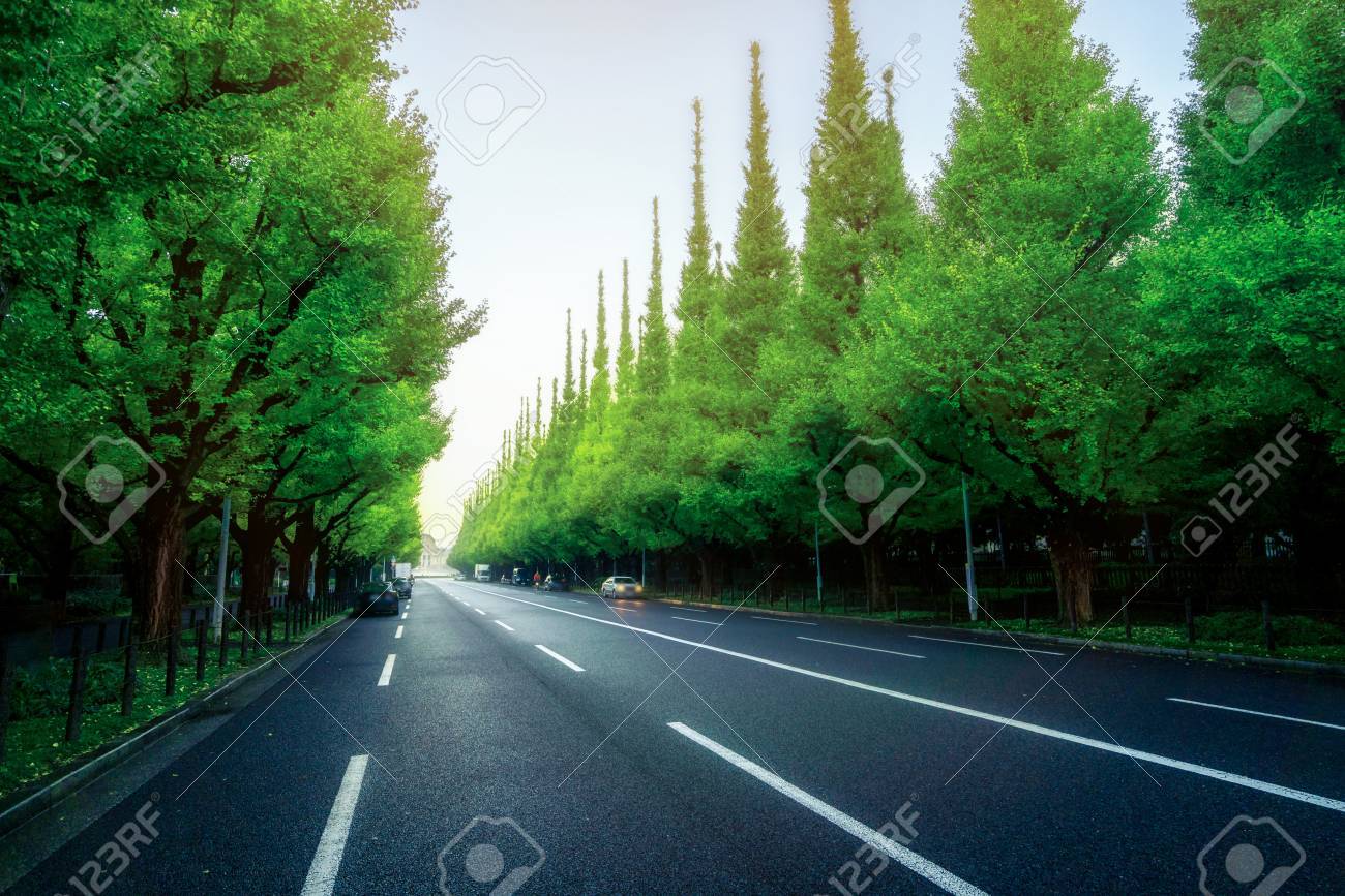 Beautiful Road With Trees On Sideroad In Summer. Straight Road ... for Straight Road With Trees
143gtk Beautiful Road With Trees On Sideroad In Summer. Straight Road ... for Straight Road With Trees
143gtk