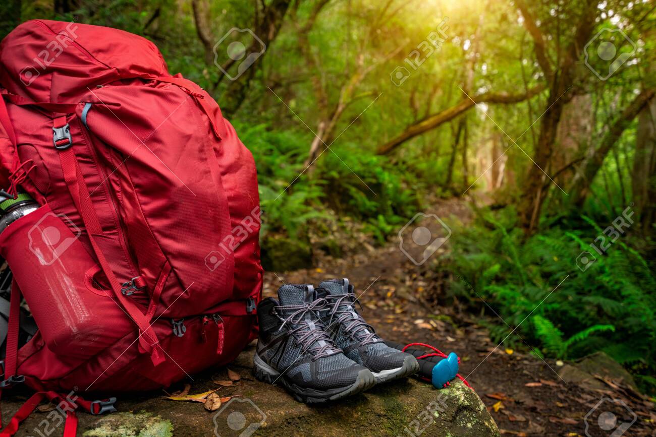 rainforest hiking gear