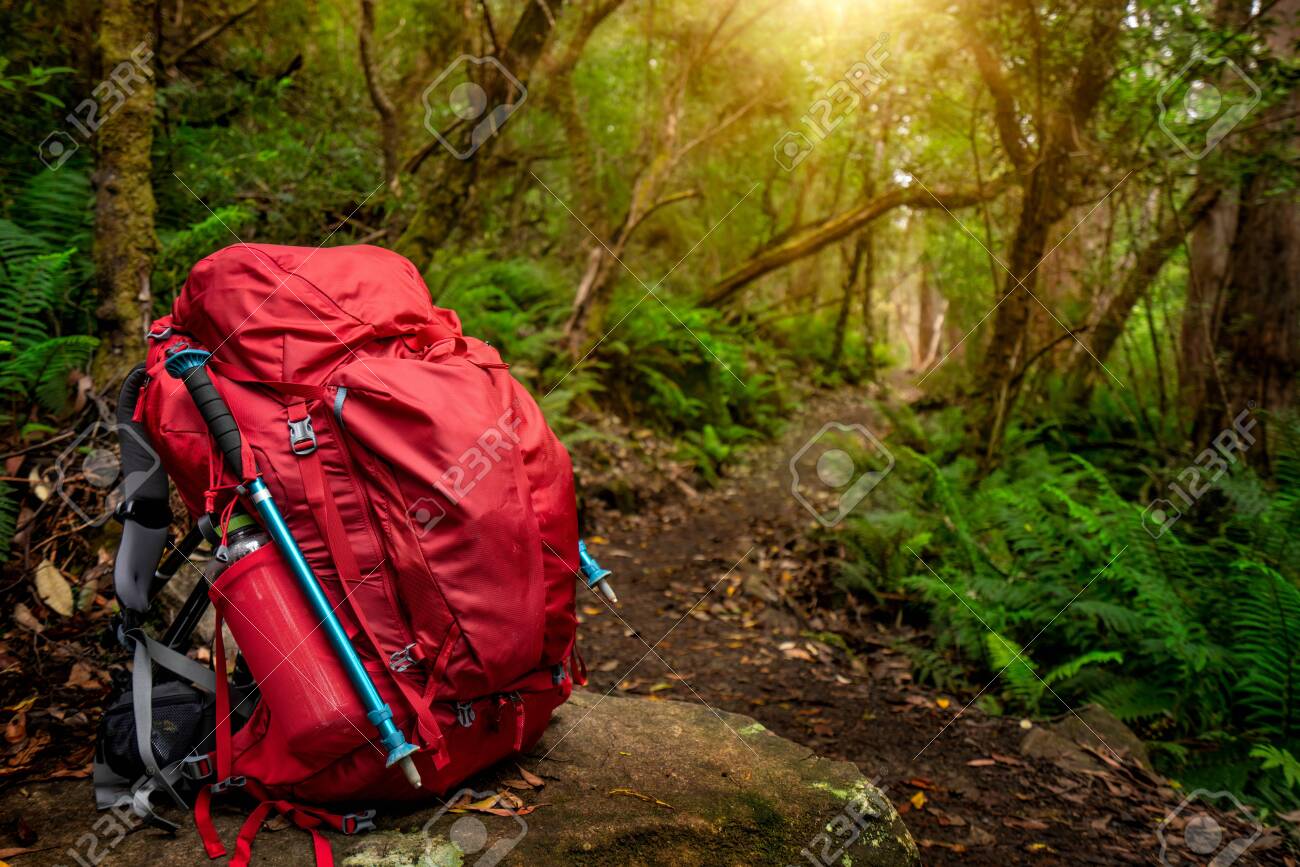 rainforest hiking gear