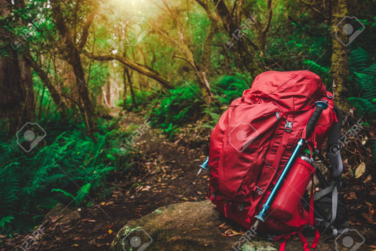 rainforest hiking gear