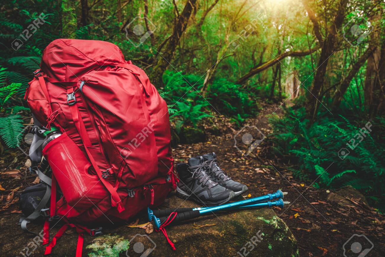 rainforest hiking gear