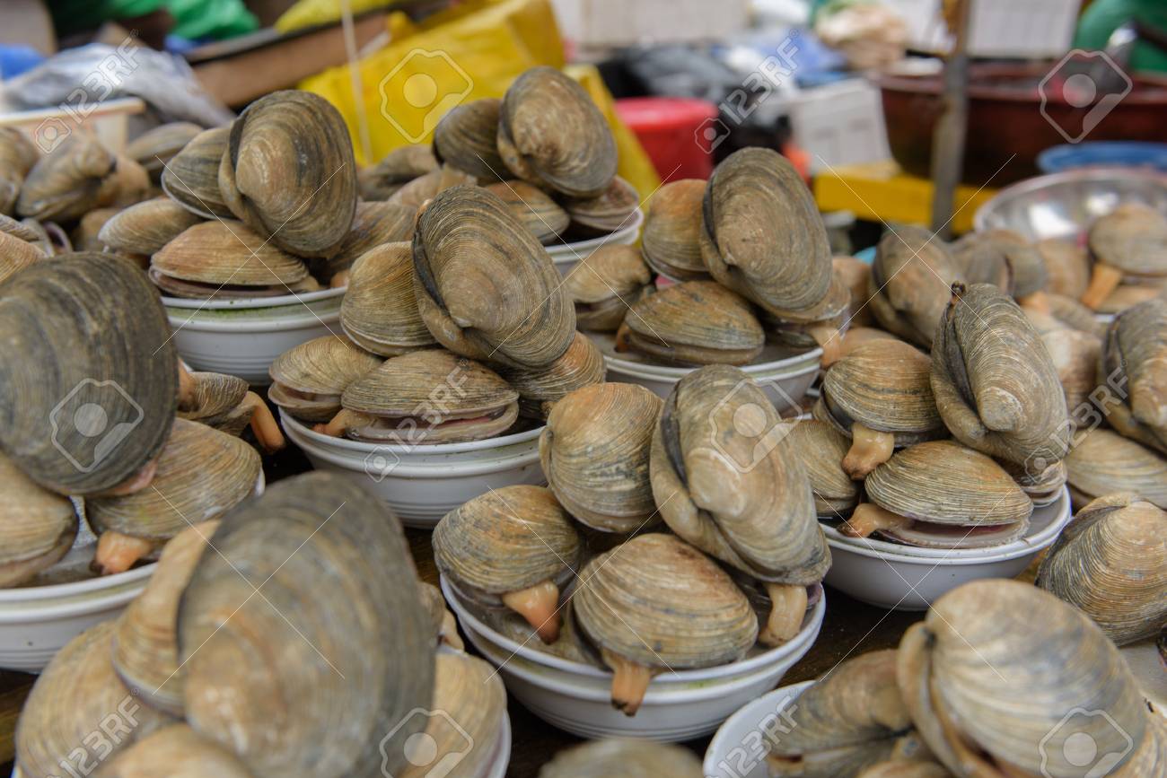 新鮮なムール貝は 釜山の魚市場で販売 の写真素材 画像素材 Image 新鮮なムール貝は 釜山の魚市場で販売 の写真素材 画像素材 Image