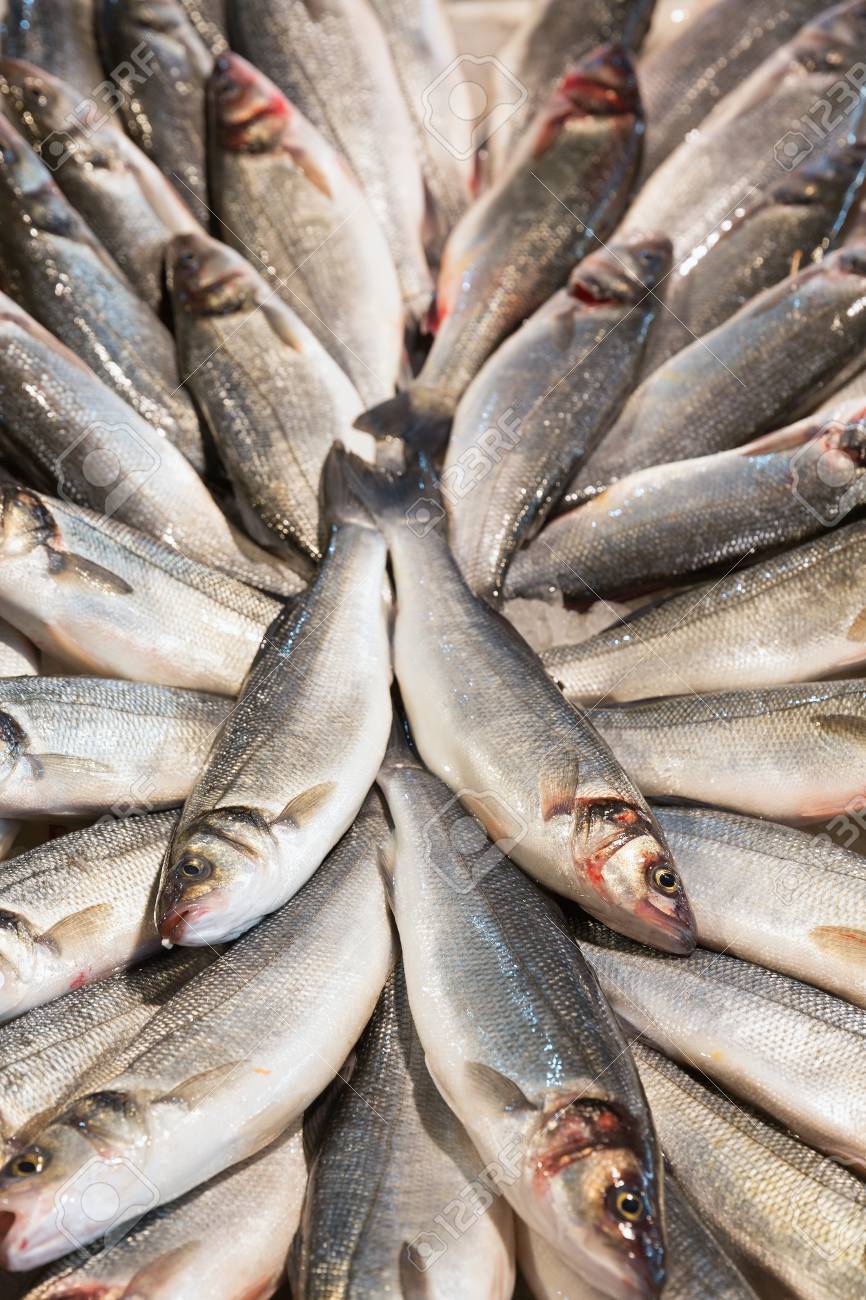 リアルト魚で新鮮な魚の市場 ヴェネツィア ヴェネツィア イタリア ヨーロッパ の写真素材 画像素材 Image リアルト魚で新鮮な魚の市場 ヴェネツィア ヴェネツィア イタリア ヨーロッパ の写真素材 画像素材 Image