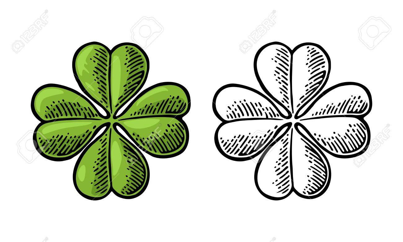 Boa Sorte Trevo De Quatro Folhas Cor Do Vintage E Ilustracao Preta Da Gravura Do Vetor Para O Grafico Da Informacao Cartaz Web Isolado No Fundo Branco Ilustraciones Vectoriales Clip Art Vectorizado