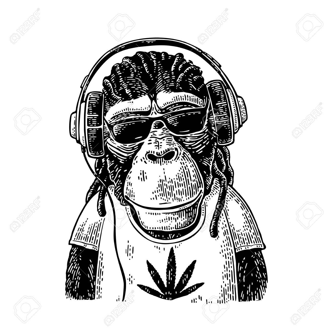 Affe Hipster Mit Dreadlocks In Kopfhorer Sonnenbrille Und T Shirt Lizenzfrei Nutzbare Vektorgrafiken Clip Arts Illustrationen Image