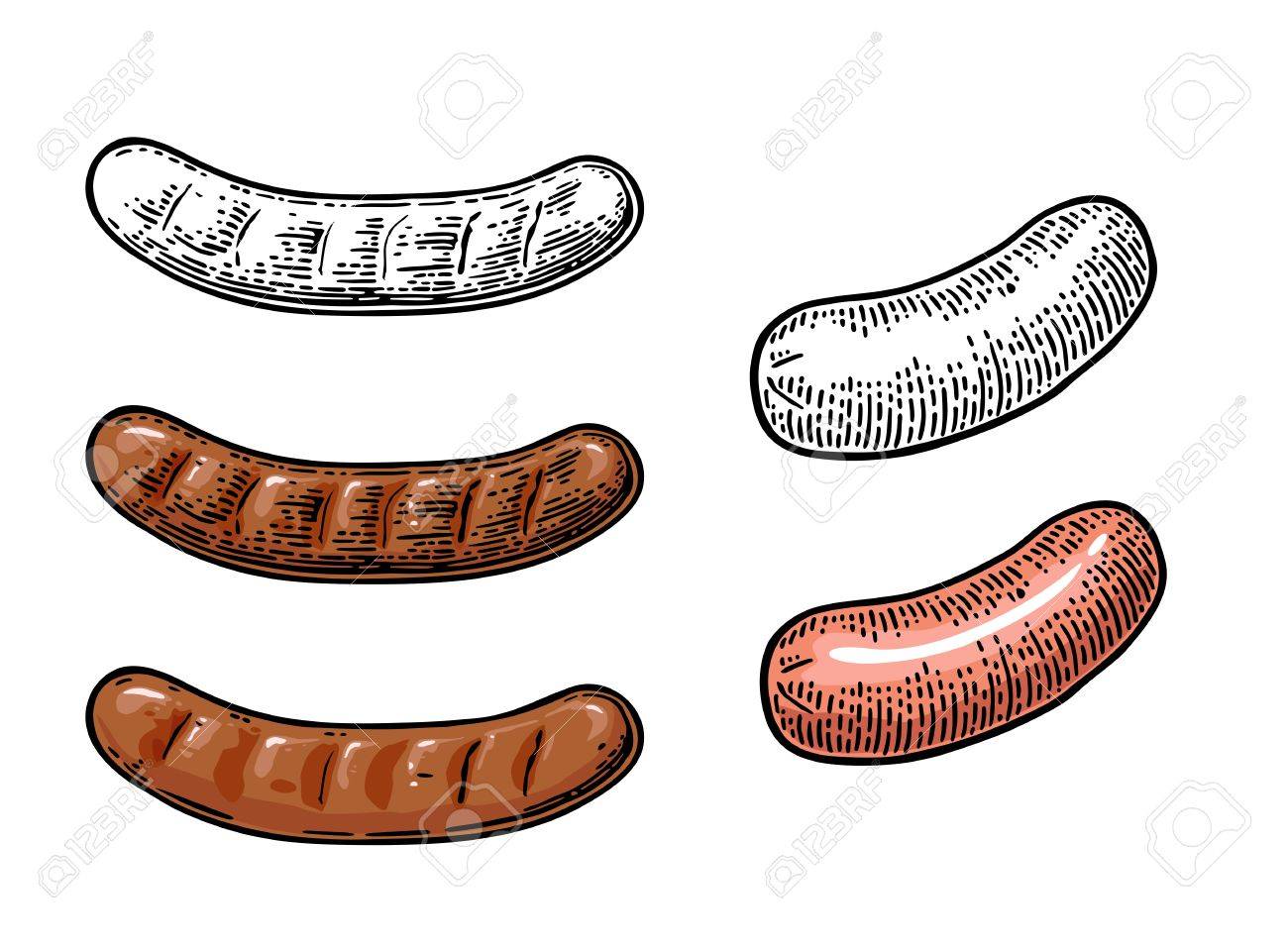 動物の画像について 最新ウインナー イラスト 白黒