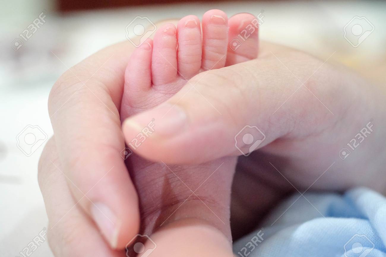 Petit Pied De Bebe Nouveau Ne Sur Les Mains Feminines Gros Plan Banque D Images Et Photos Libres De Droits Image Petit Pied De Bebe Nouveau Ne Sur Les Mains Feminines Gros Plan Banque D Images Et Photos Libres De Droits Image