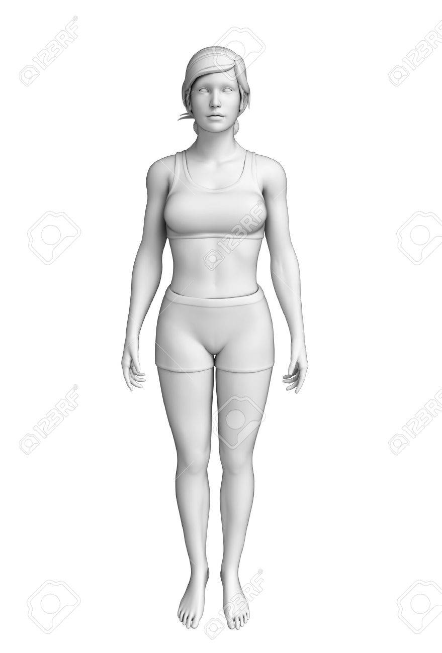 女性の身体 Artwrok のイラスト の写真素材 画像素材 Image 女性の身体 Artwrok のイラスト の写真素材 画像素材 Image