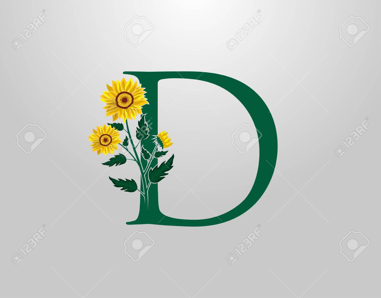 Letter D Vector Alphabet With Sunflower Flower Plant Logo Icon Typography Design Royalty Free Cliparts Vectors And Stock Illustration Image 153074265
