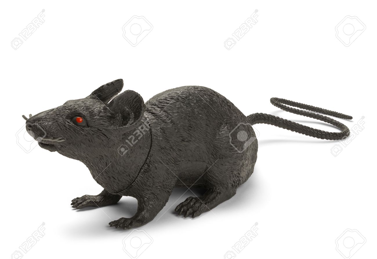 toy rats