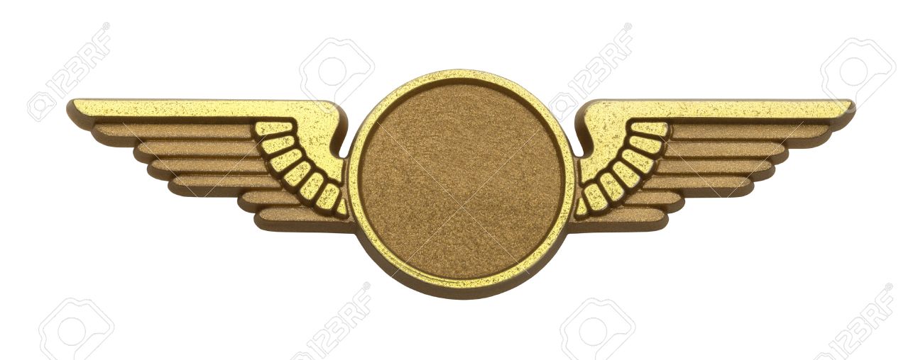 gold plastic pilot wings with copy space isolated on white