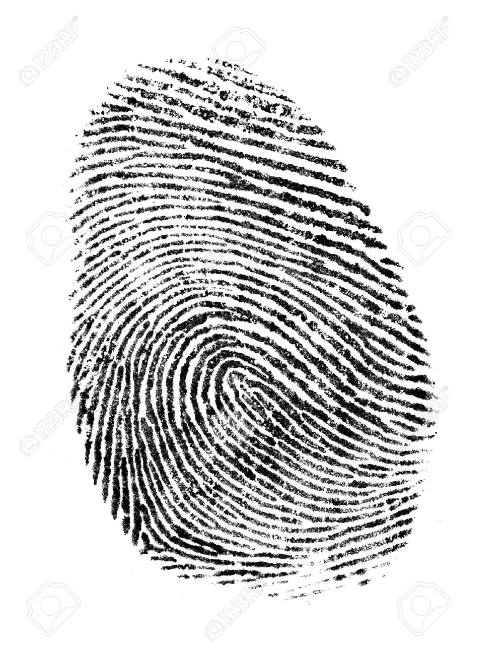 Black Ink Fingerprint Isolated on a White Background. - 51202600 Black Ink Fingerprint Isolated on a White Background. - 51202600