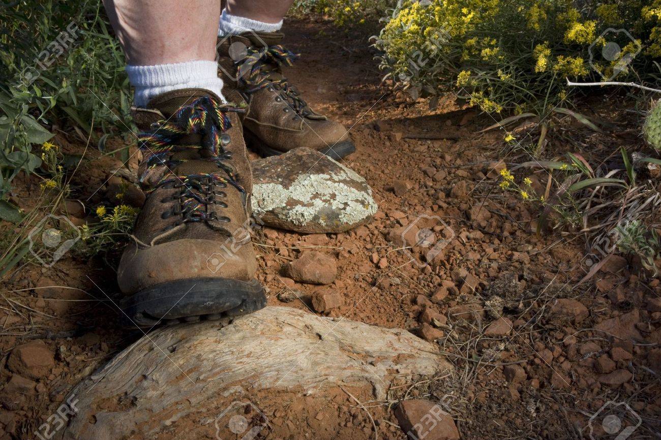 desert hiking boots