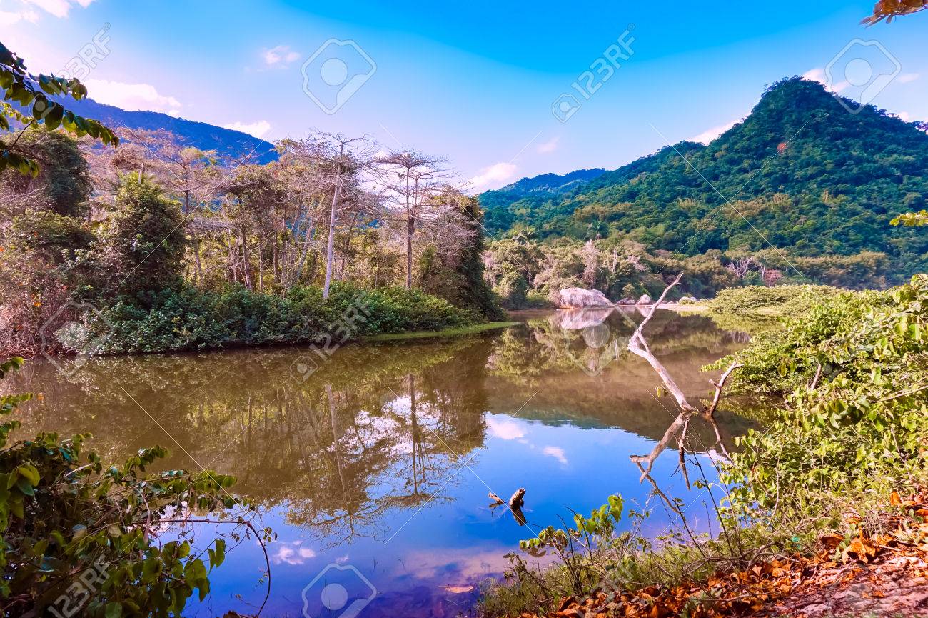 tranquil nature
