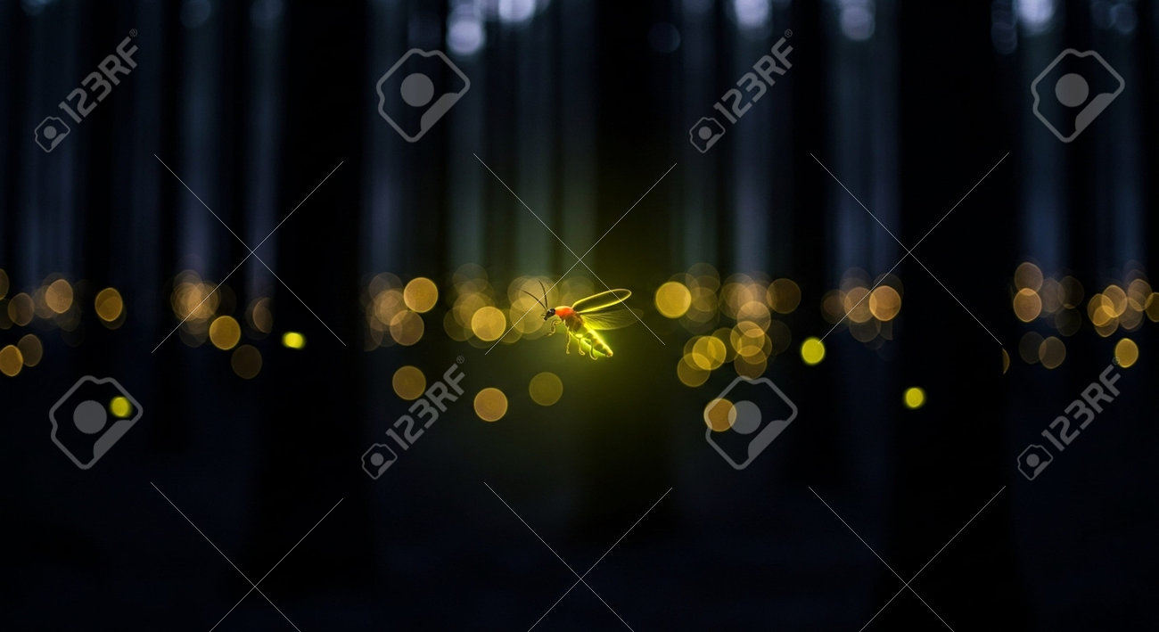 etiam-dictum-ipsum-a-felis