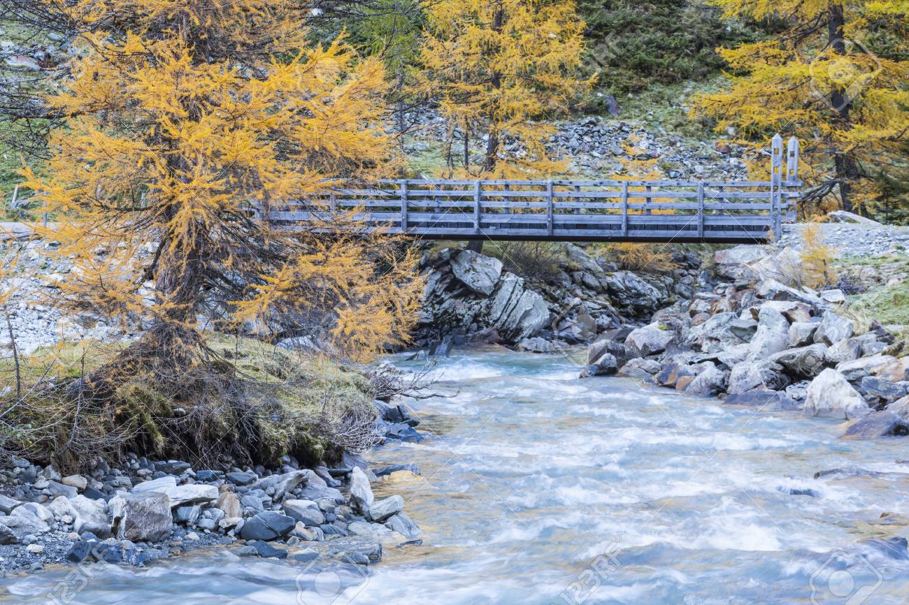 秋景色の川の歩道橋 の写真素材 画像素材 Image