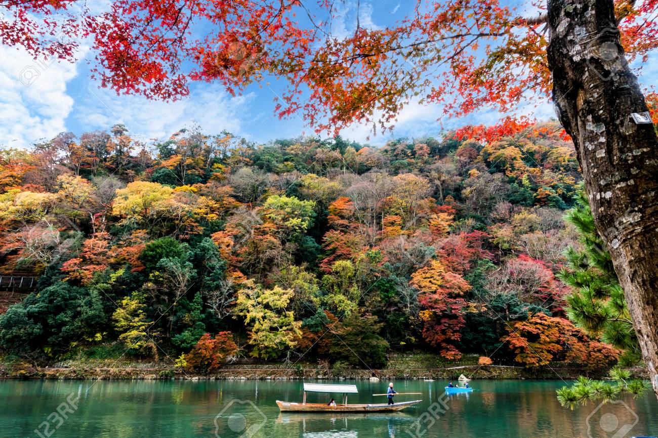 カエデの自然の美しさを見に来る伝統的な観光船をたたくボートマンとの桂川の風景像は 京都のランドマークの一つです の写真素材 画像素材 Image