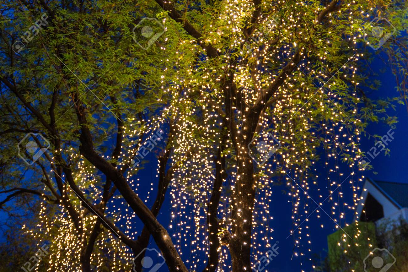 Decorative Outdoor String Lights Hanging On Tree In The Garden At