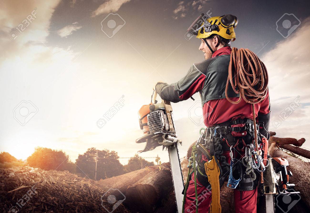 lumberjack with chainsaw isolated over black background - 64541849 lumberjack with chainsaw isolated over black background - 64541849