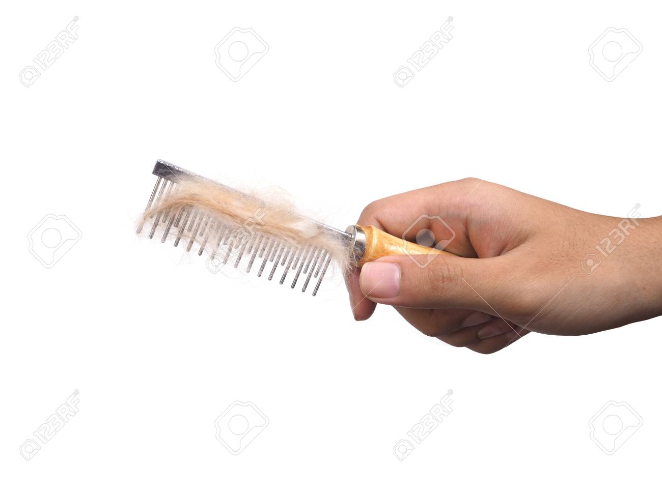 hand pet brush