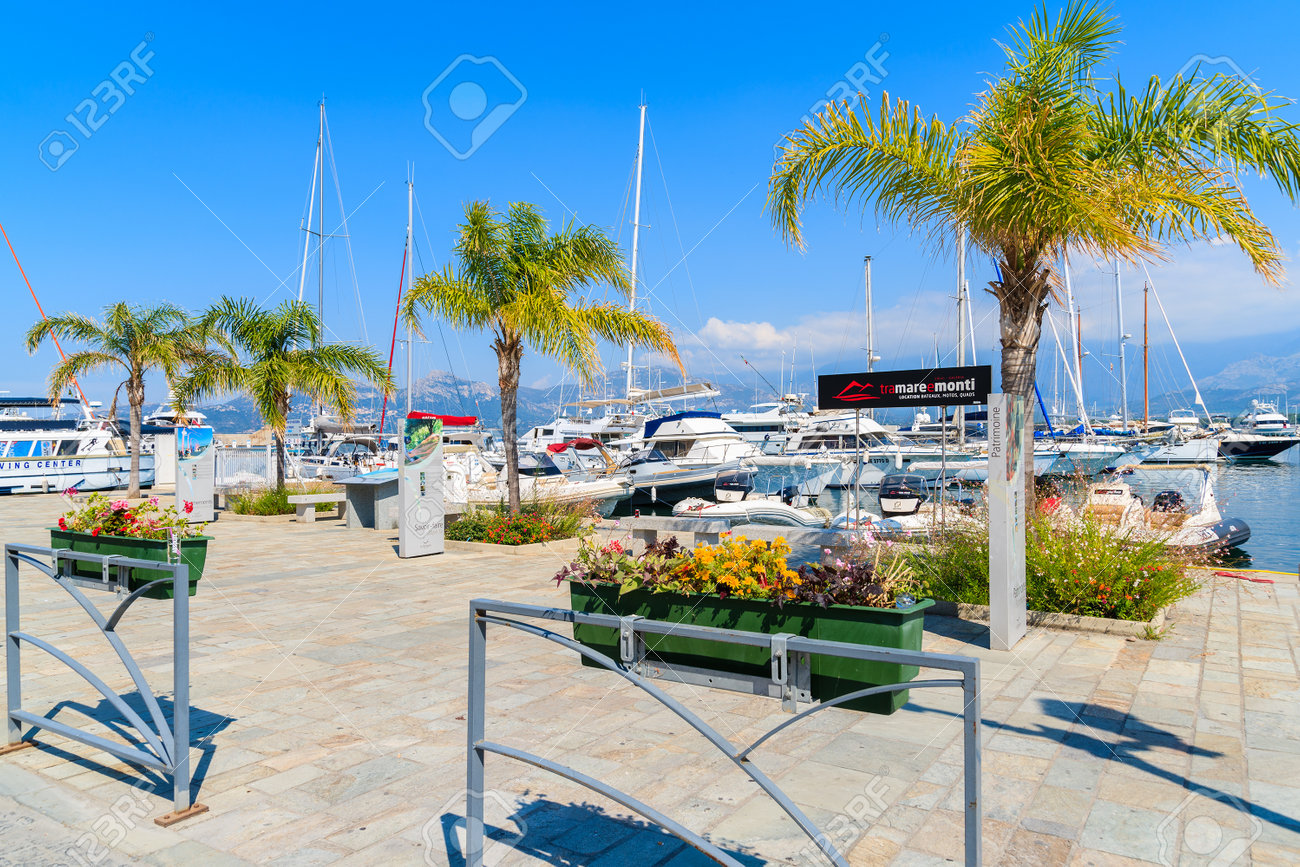 Calvi Korsika Insel 28 Juni 2015 Palmen Auf Promenade In Calvi Hafen Diese Stadt Hat Einen Luxuriosen Yachthafen Und Ist Sehr Beliebt Lizenzfreie Fotos Bilder Und Stock Fotografie Image 73738412