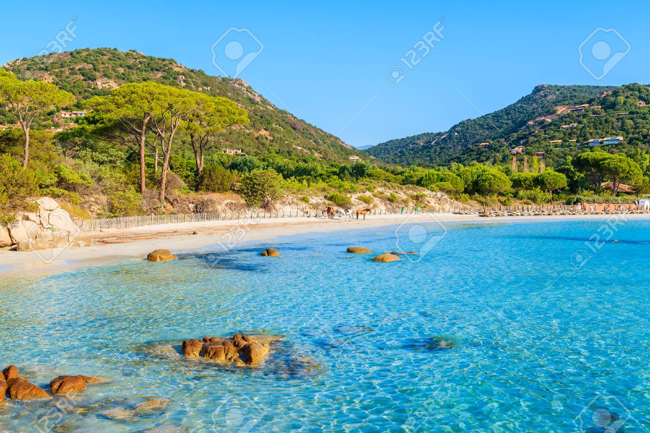 Sandy Magnifique Plage De Palombaggia Avec De Leau De Mer Azur île De Corse France