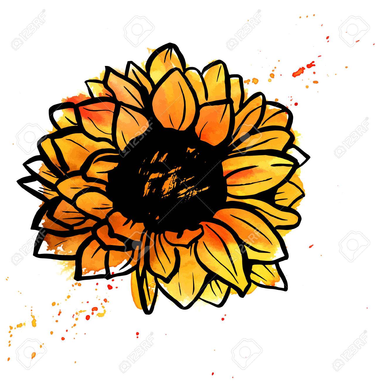 フリーハンドのベクトルと水彩塗料の飛散と黄色のヒマワリの描画のイラスト素材 ベクタ Image