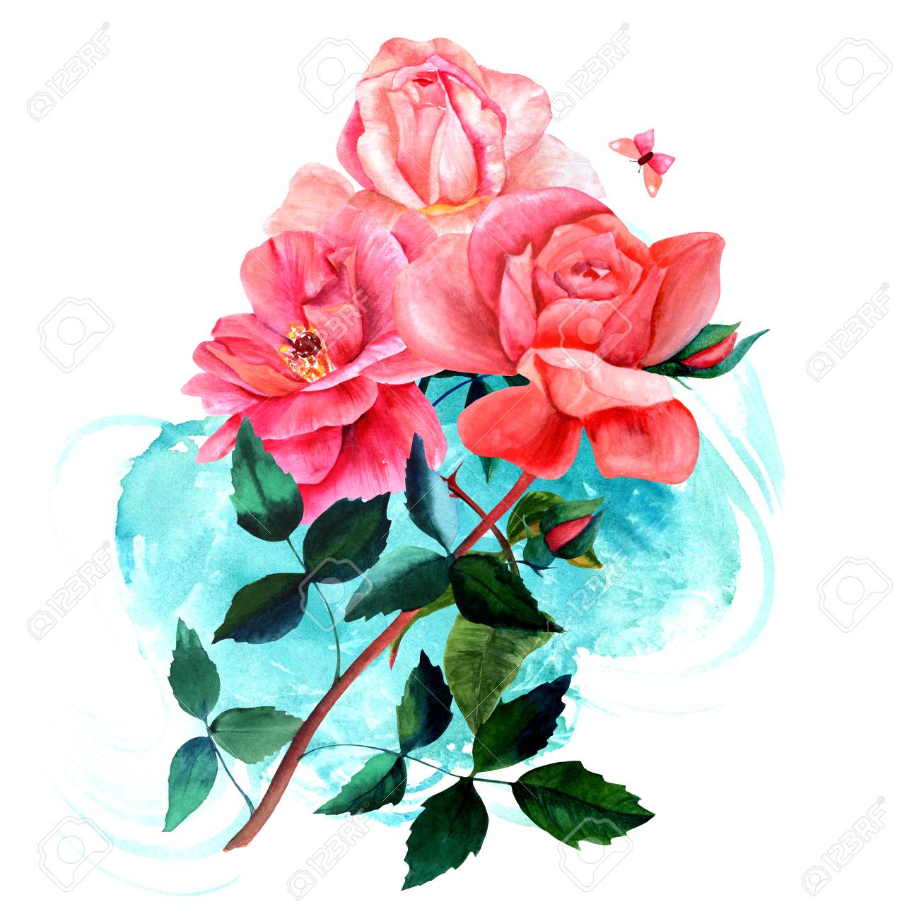 Watercolor Roses Bouquet Drawing With Turquoise Brush Stroke