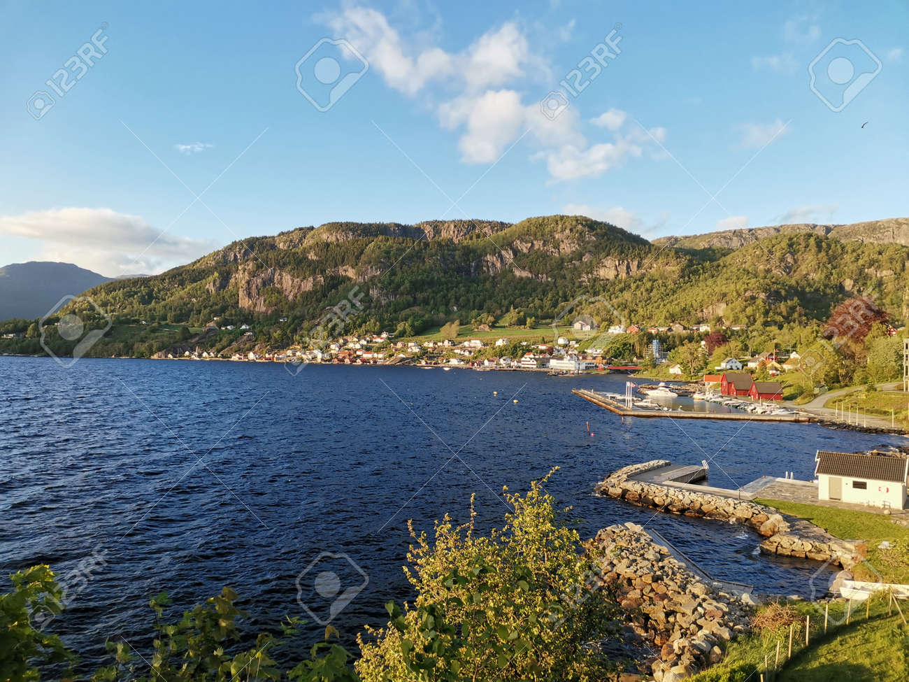 etiam-dictum-ipsum-a-felis