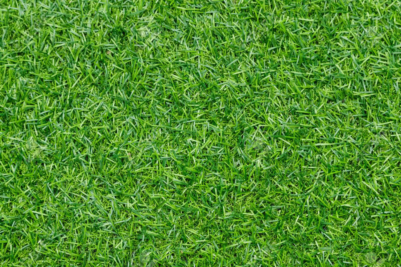 artificial grass backgroundgreen soccer field background stock photo 65995340 green c39 green