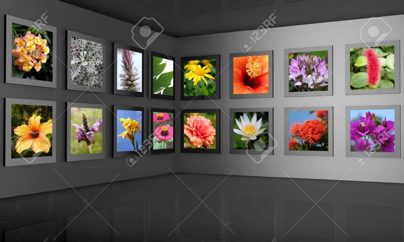 Download Flower Photos Display On The Wall Combine With 3d Frame And Wall Stock Photo Picture And Royalty Free Image Image 5612181