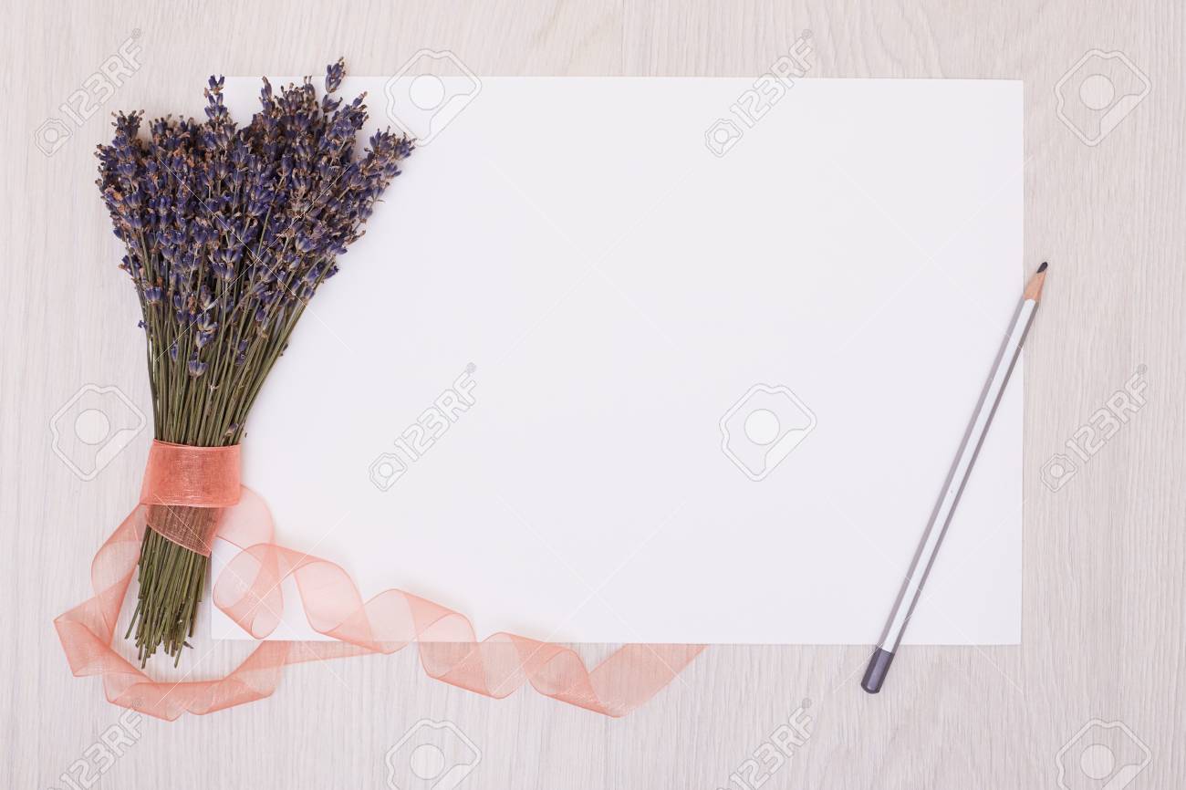 lavender flowers and empty photo album book cover floral frame from dried plants flat
