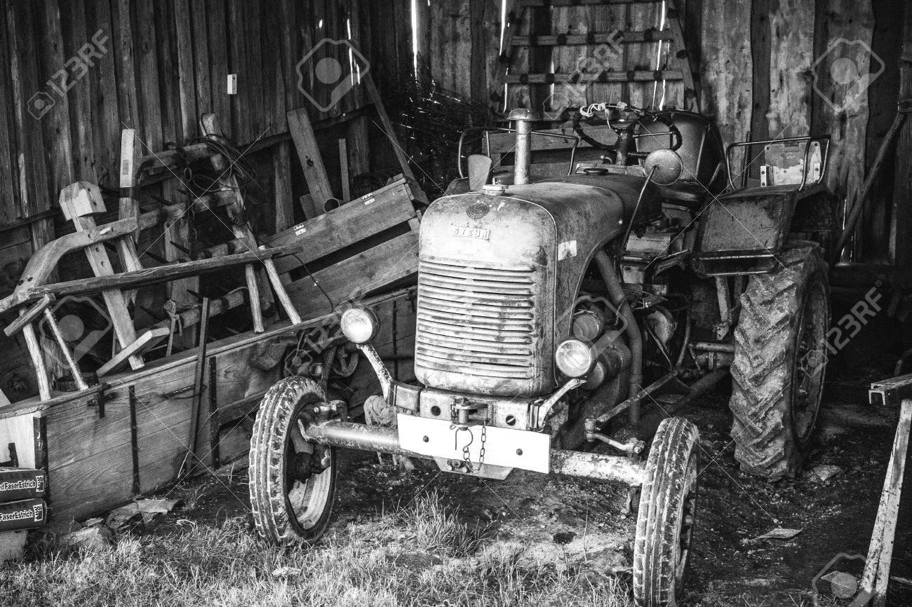 etiam-dictum-ipsum-a-felis