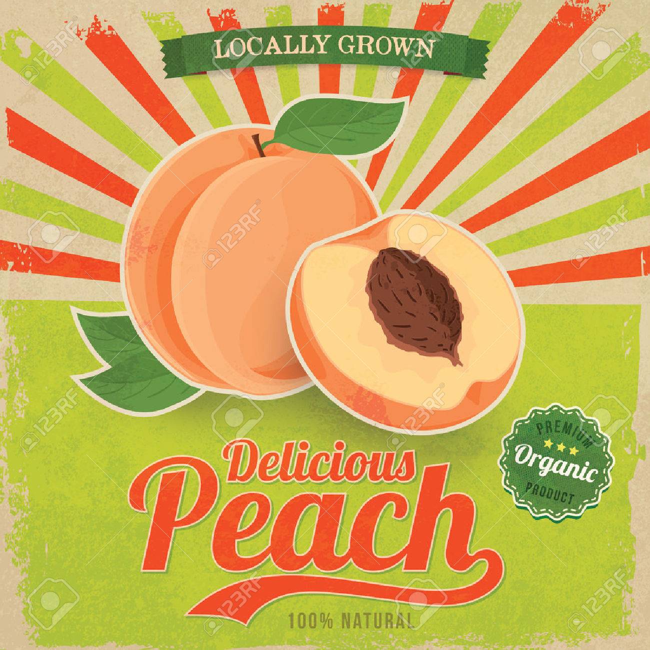 Colorful Vintage Peach Label Poster Vector Illustration Royalty Free Cliparts Vectors And Stock Illustration Image