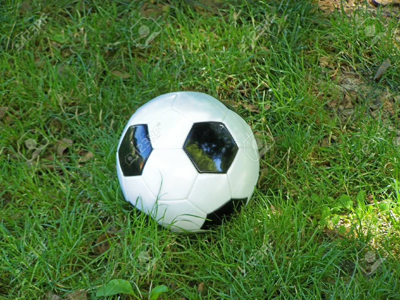 庭 サッカー ボール の写真素材 画像素材 Image