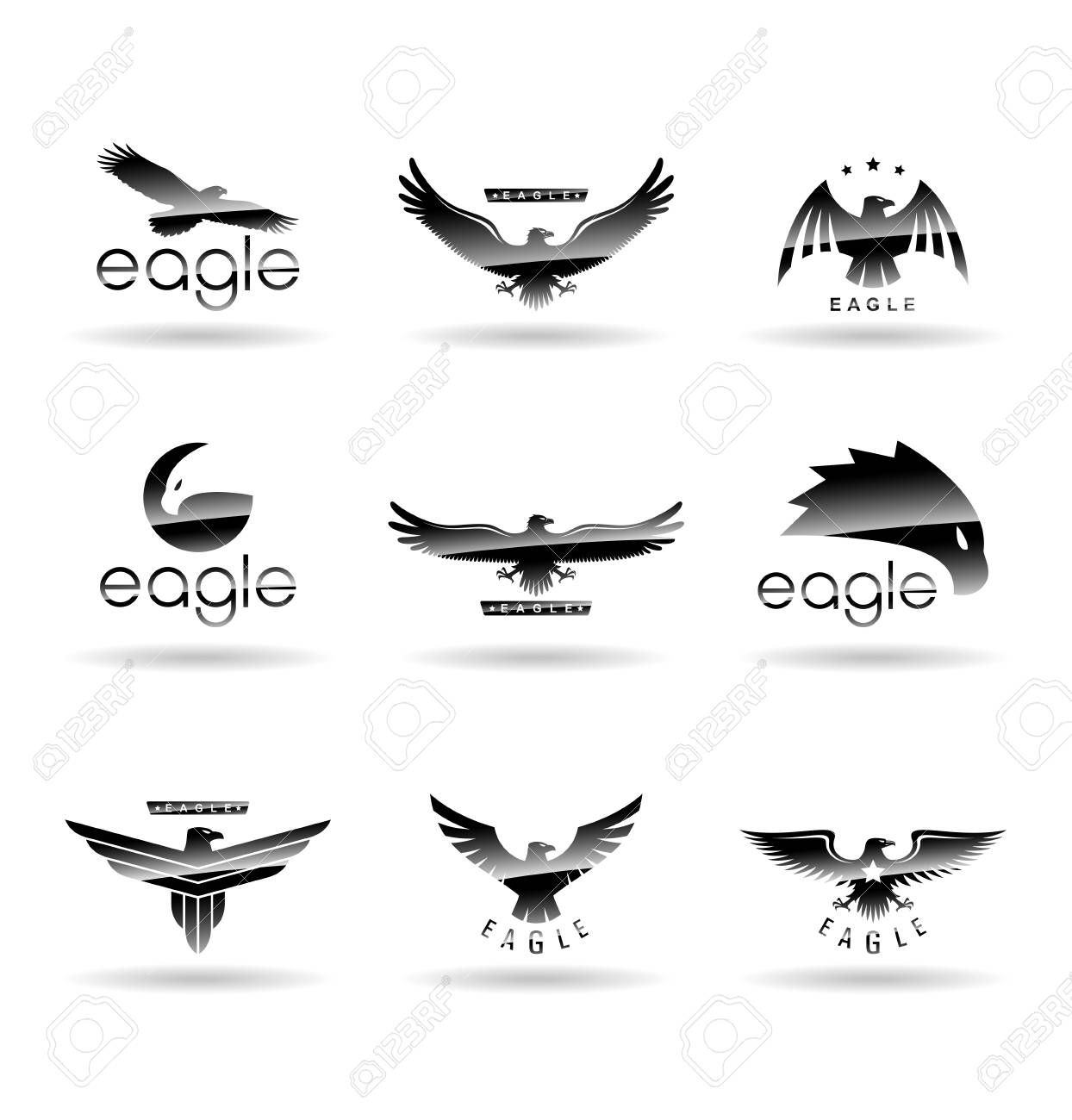 eagle logo vector concepts falcon logotype template hawk