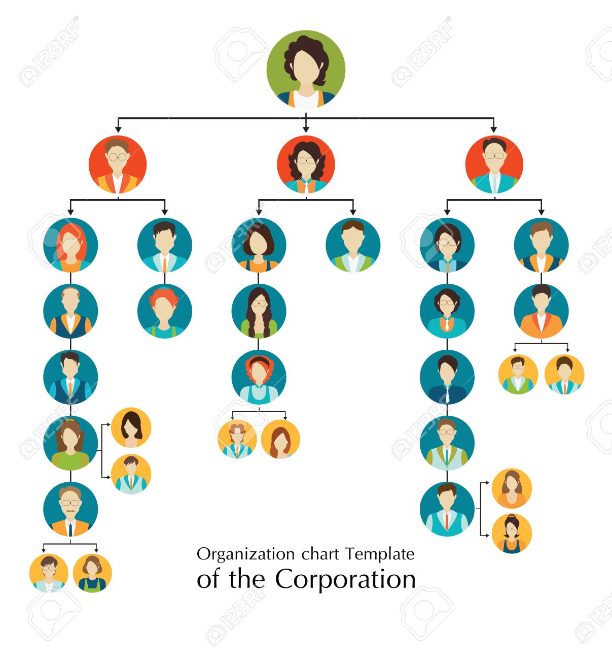 organizational chart template of the corporation business hierarchy hierarchy organizational chart template