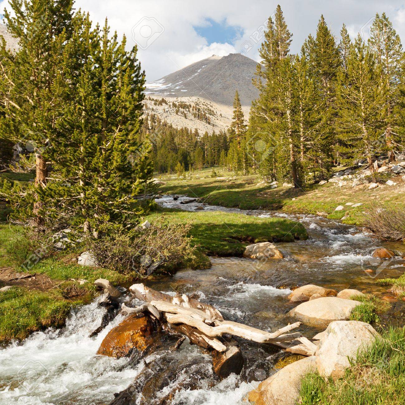 2019 year for lady- Creek beautiful 2019 year for lady- Creek beautiful