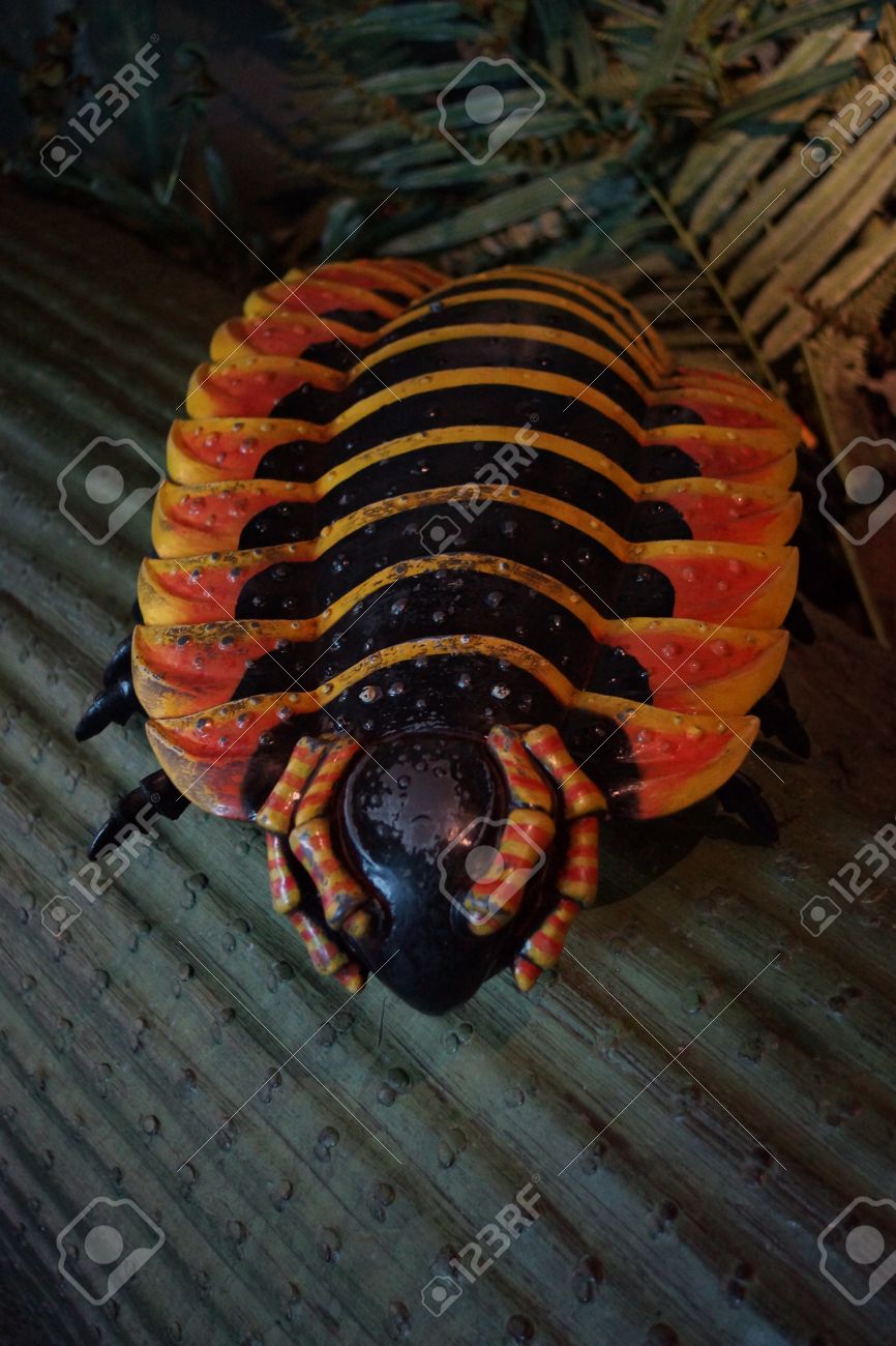 Arthropleura - A Large Wild Prehistoric Extinct Giant Centipede Stock  Photo, Picture and Royalty Free Image. Image 48853230., image size:866x1300